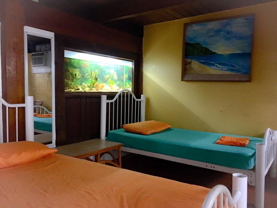 Dancing Tortugas Otel Aguadilla Dış mekan fotoğraf