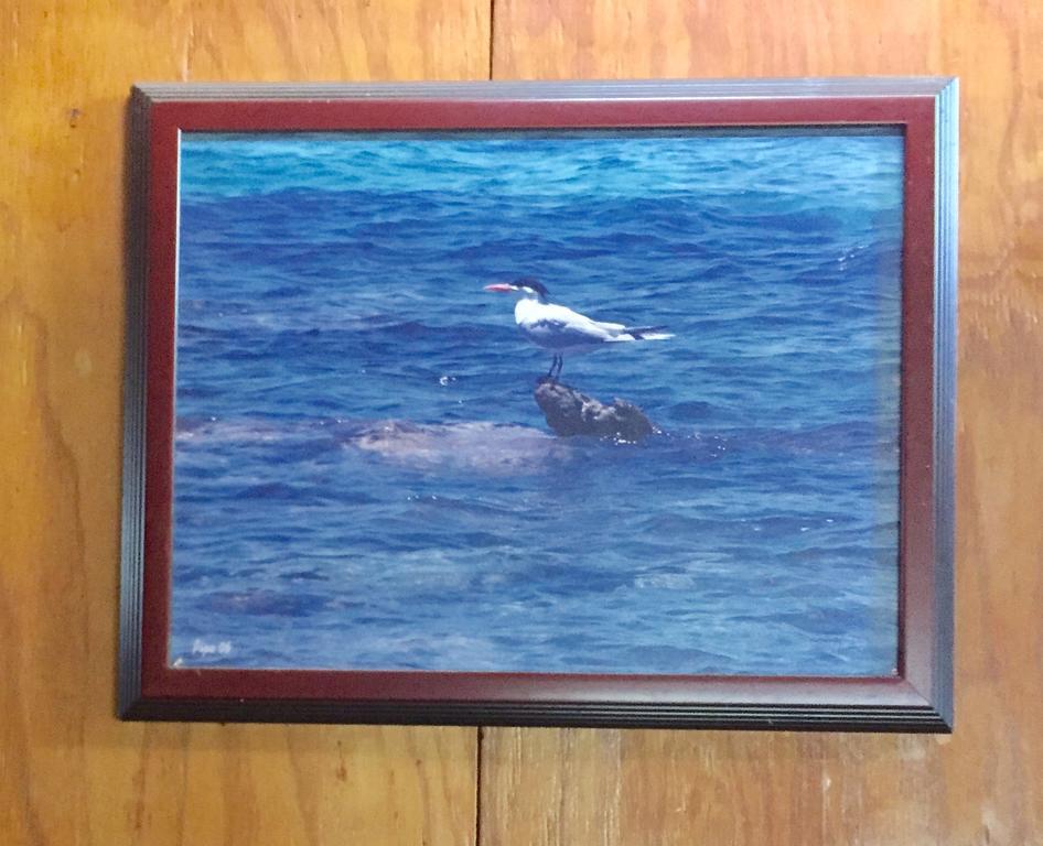 Dancing Tortugas Otel Aguadilla Dış mekan fotoğraf